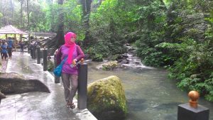Sesaot Forest