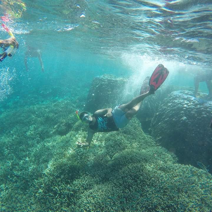 snorkeling alternatif