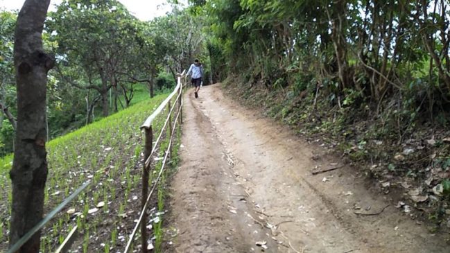 Track to Buwun Mas